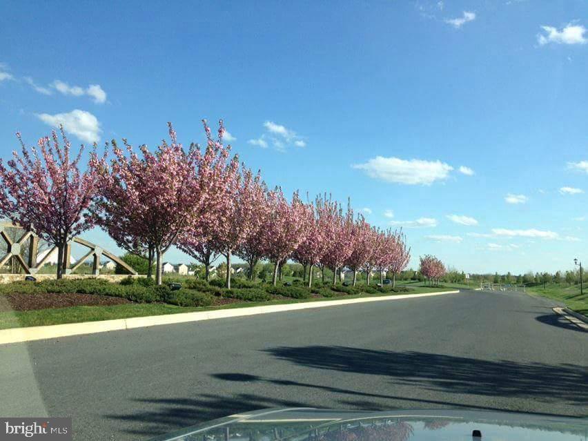 SNOWDEN BRIDGE - Residential