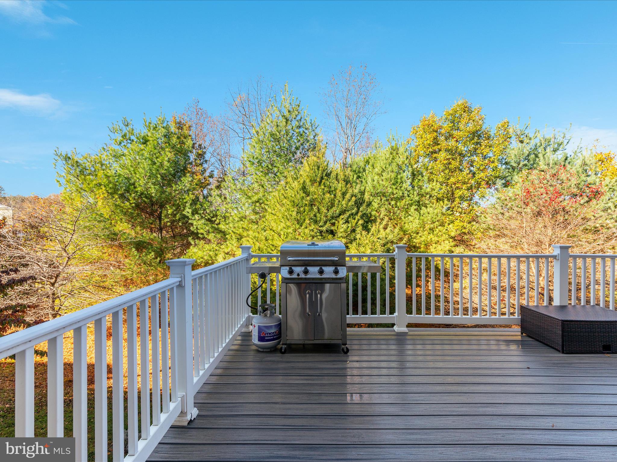 VILLAGES OF PIEDMONT - Residential