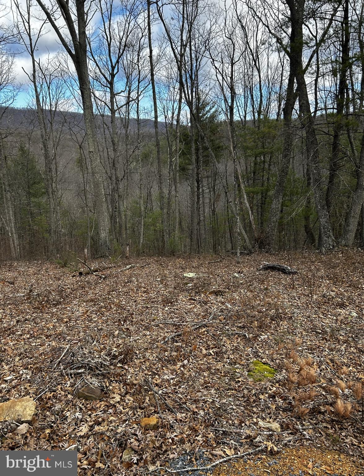 NORTH RIVER WILDERNESS - Land