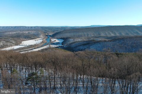 139 BLUFFS ON THE POTOMAC ROMNEY WV 26757