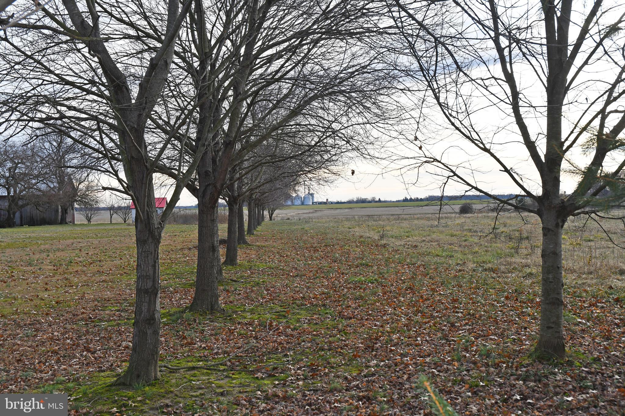 N BOHEMIA AVENUE