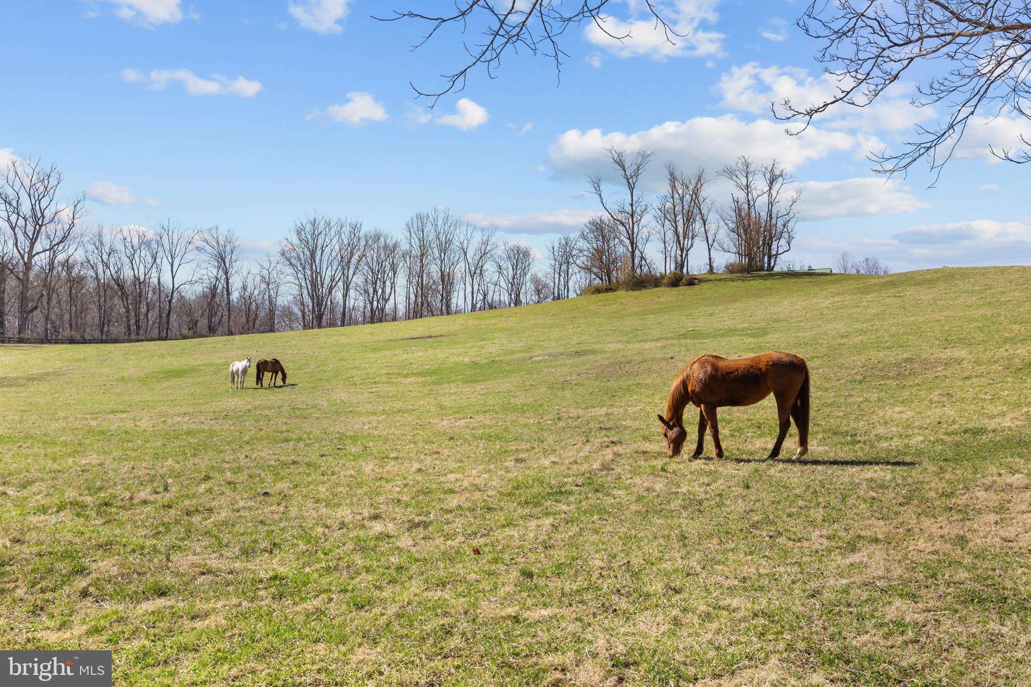 FORT BACON FARM - Residential