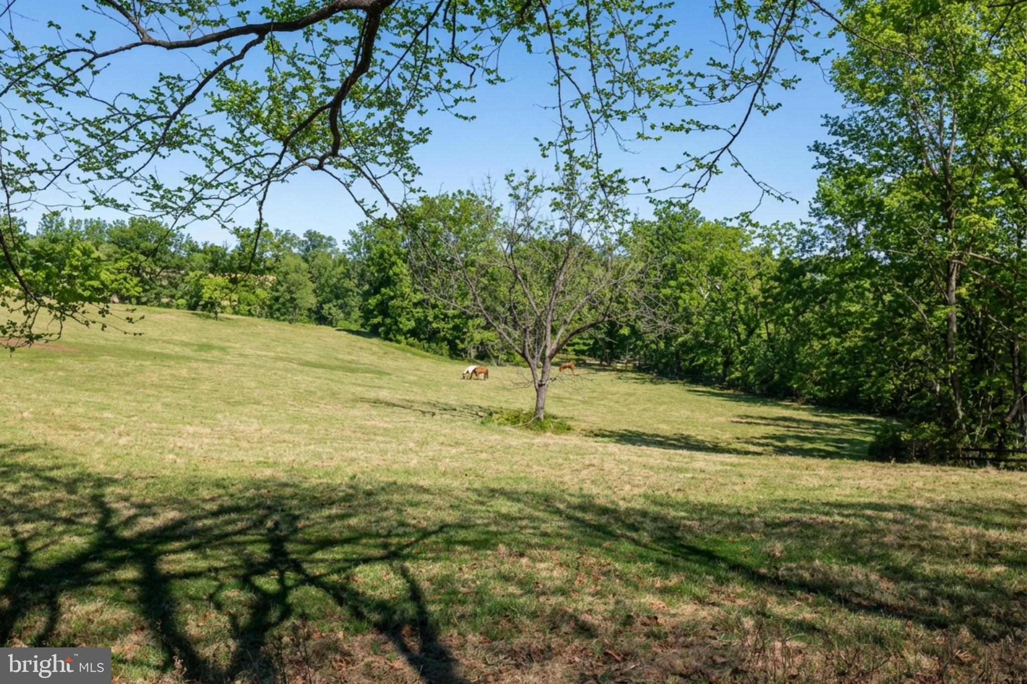 FORT BACON FARM - Residential