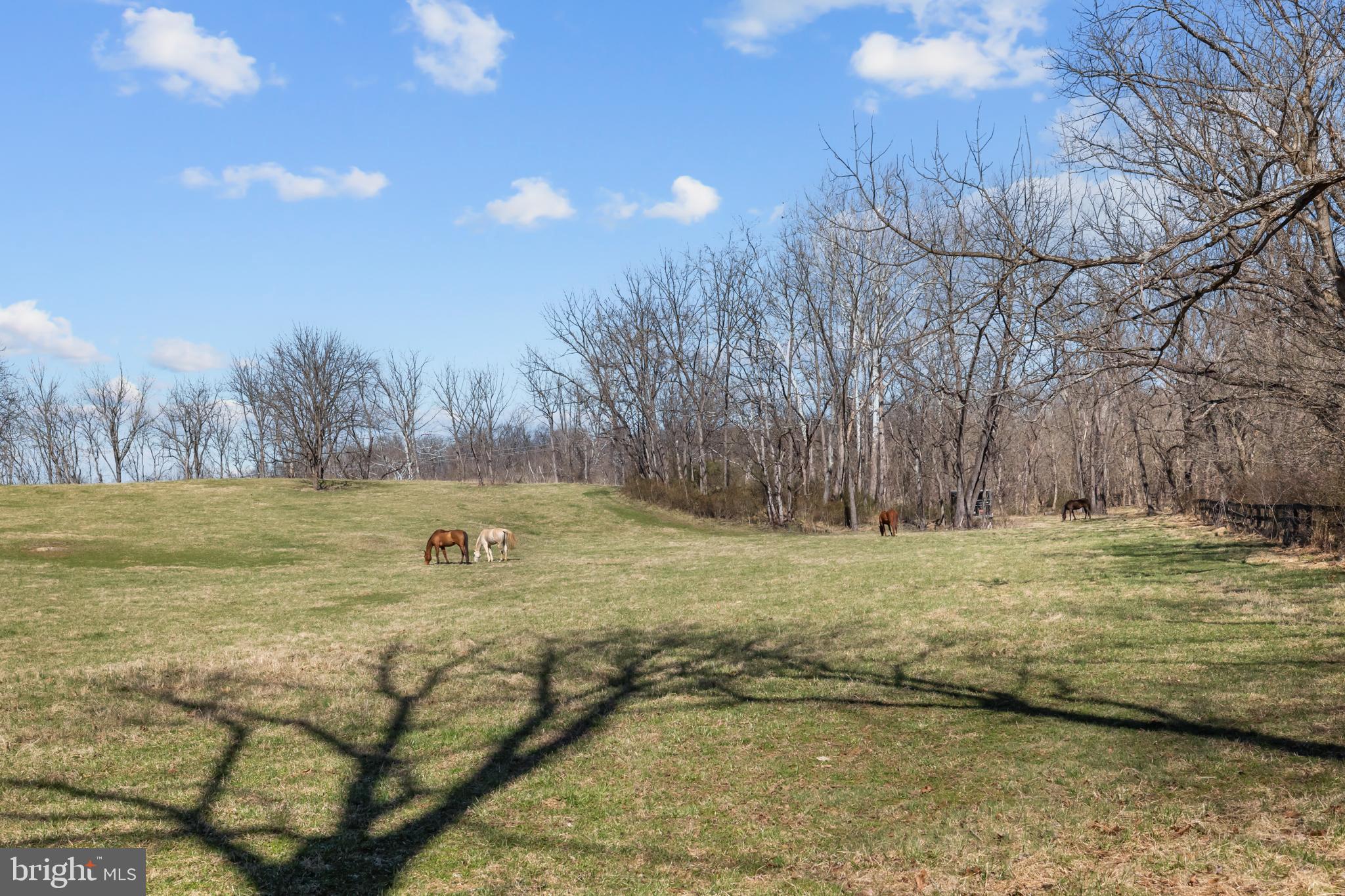 FORT BACON FARM - Residential