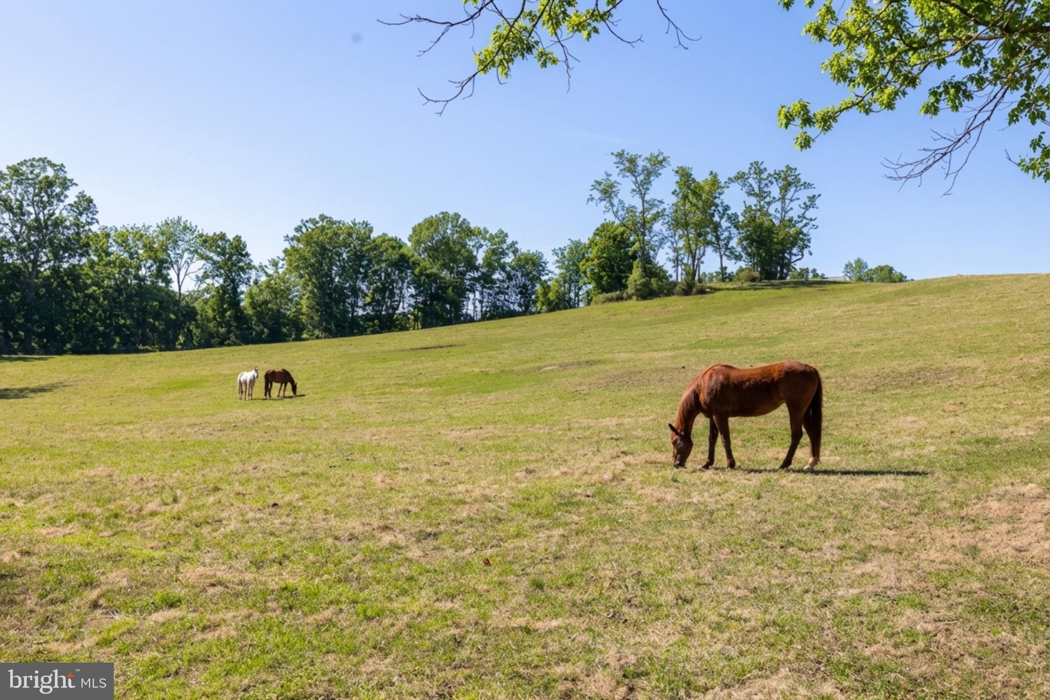 FORT BACON FARM - Residential