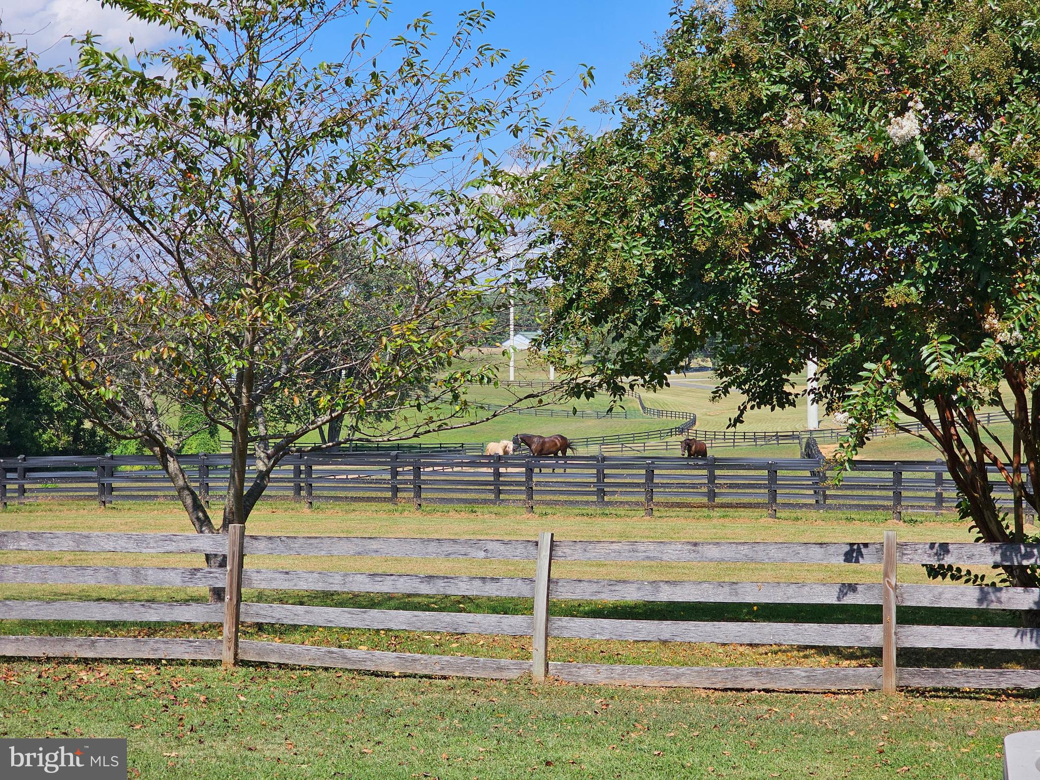 HARWOOD - Residential