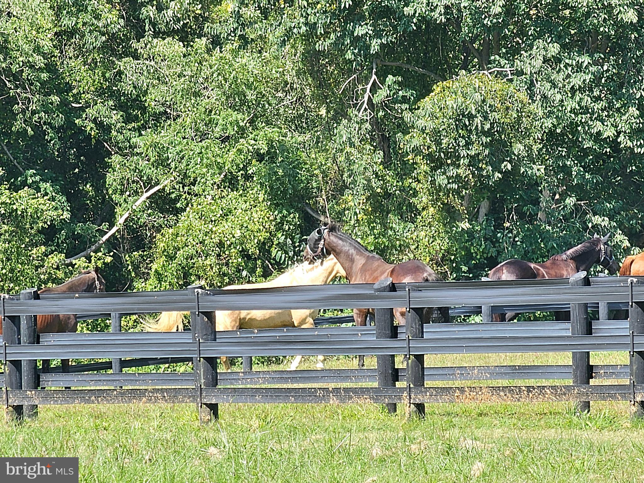 HARWOOD - Residential