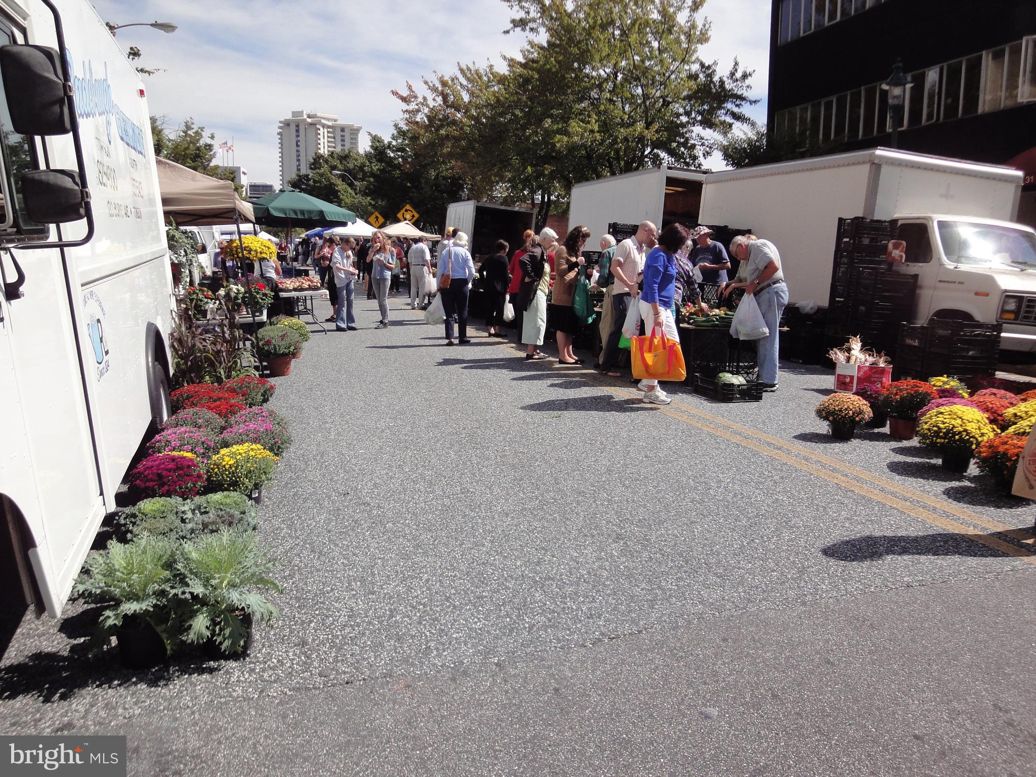 PENTHOUSE CONDOMINIUMS - Residential Lease