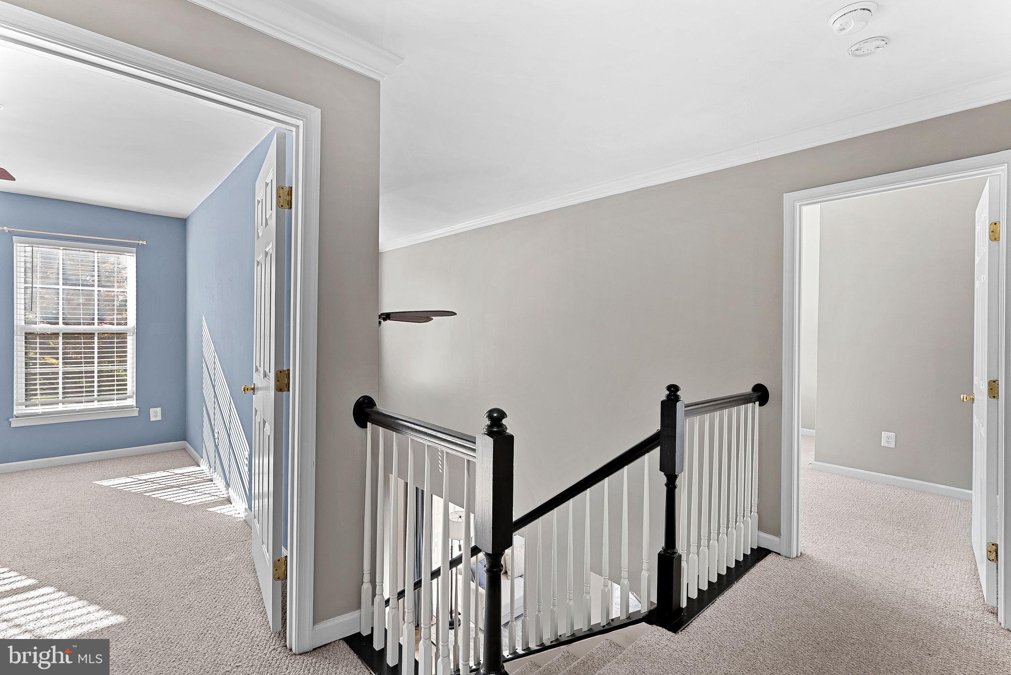 NEW TOWN MEADOWS - Residential