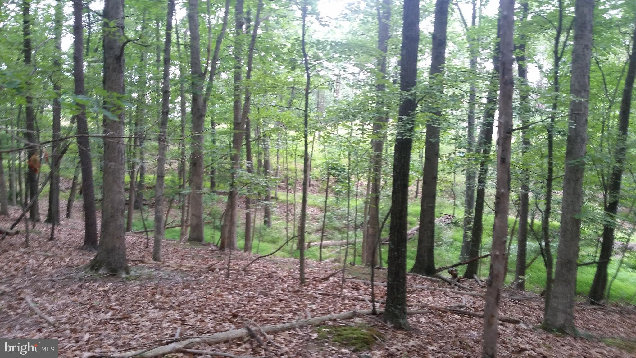 POTOMAC VALLEY VISTA - Land