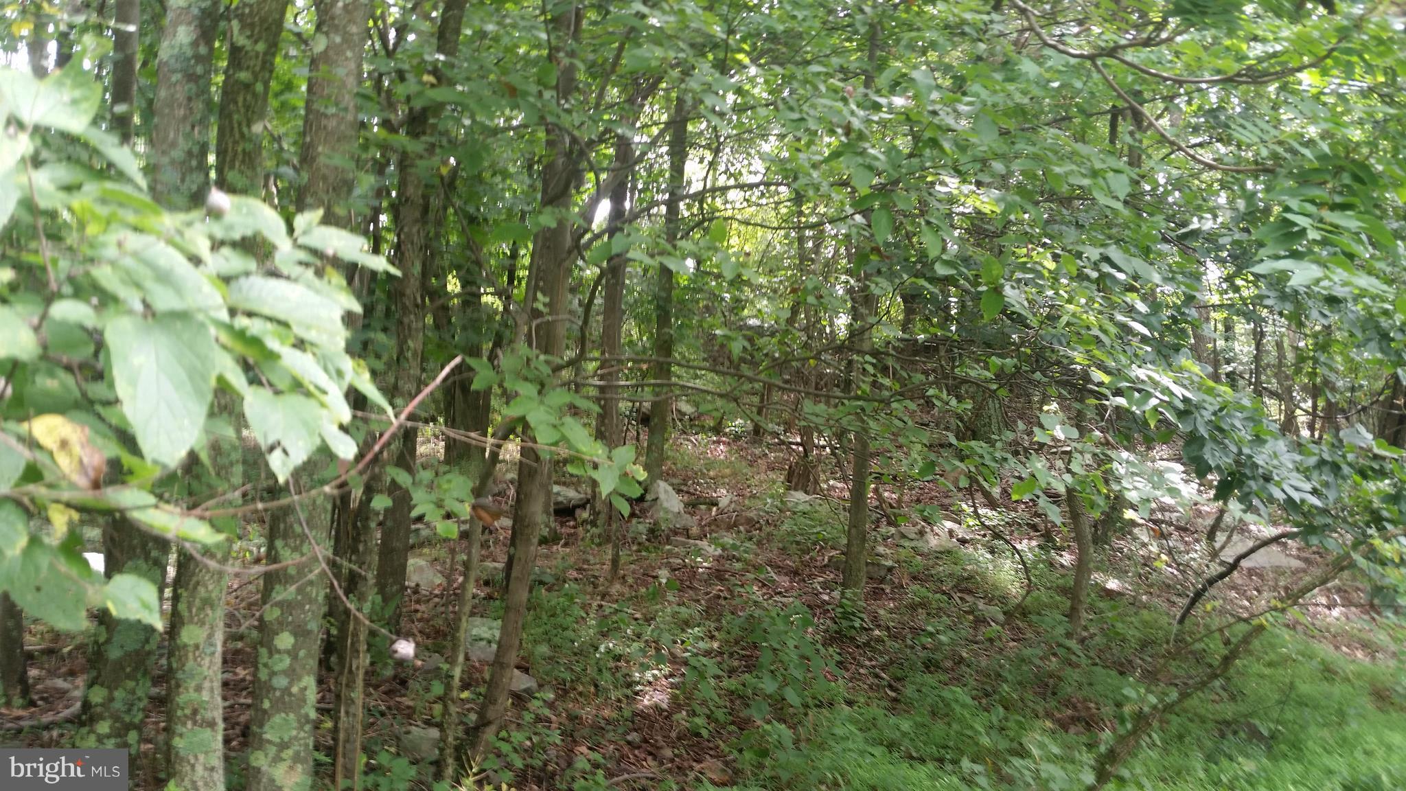 POTOMAC VALLEY VISTA - Land