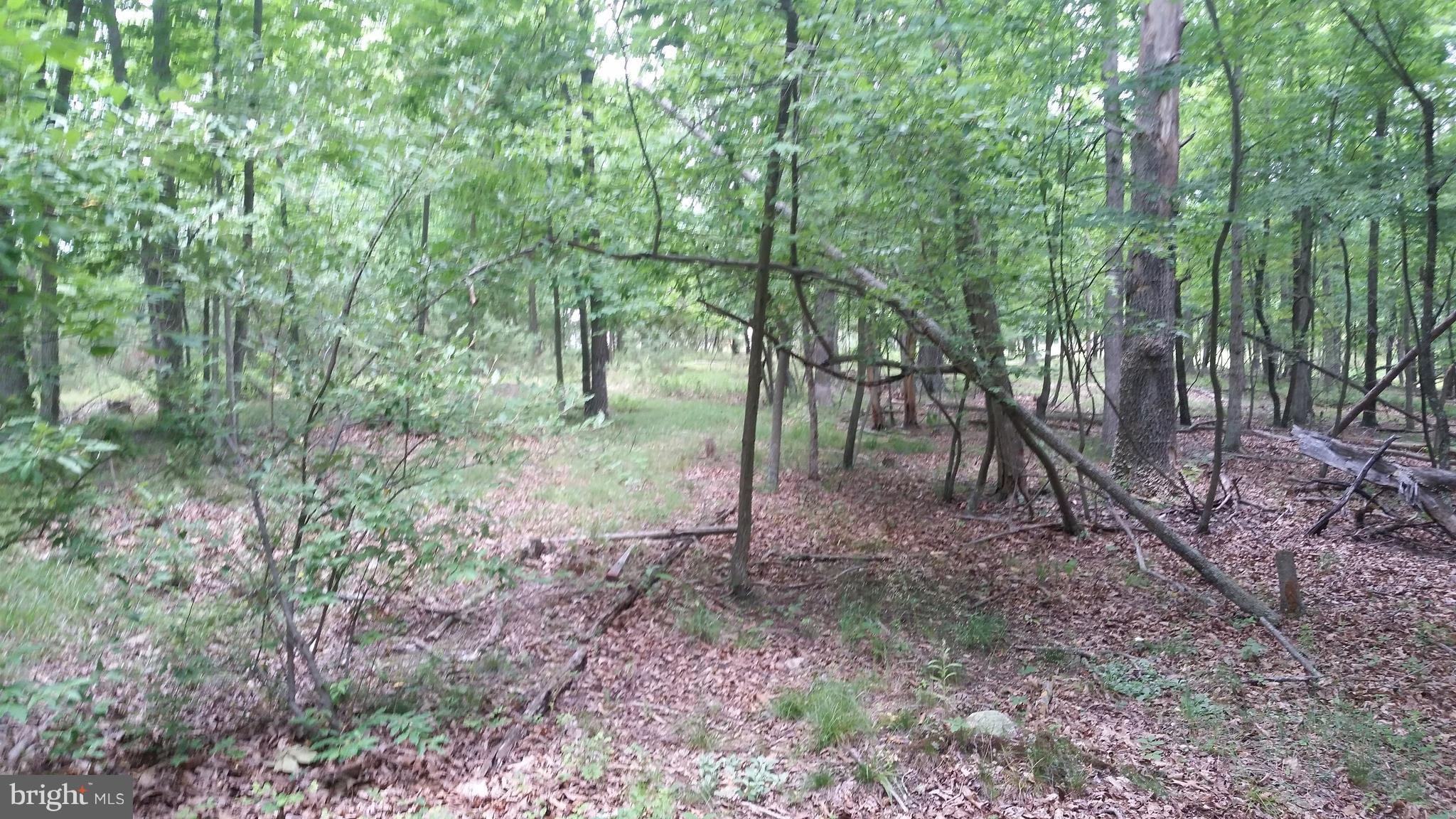 POTOMAC VALLEY VISTA - Land