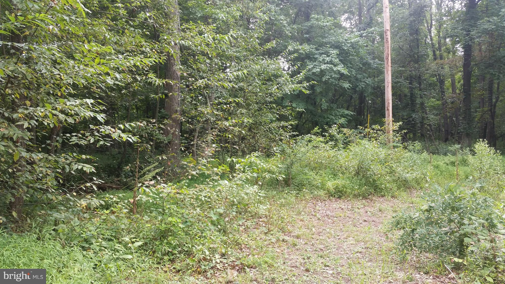 POTOMAC VALLEY VISTA - Land