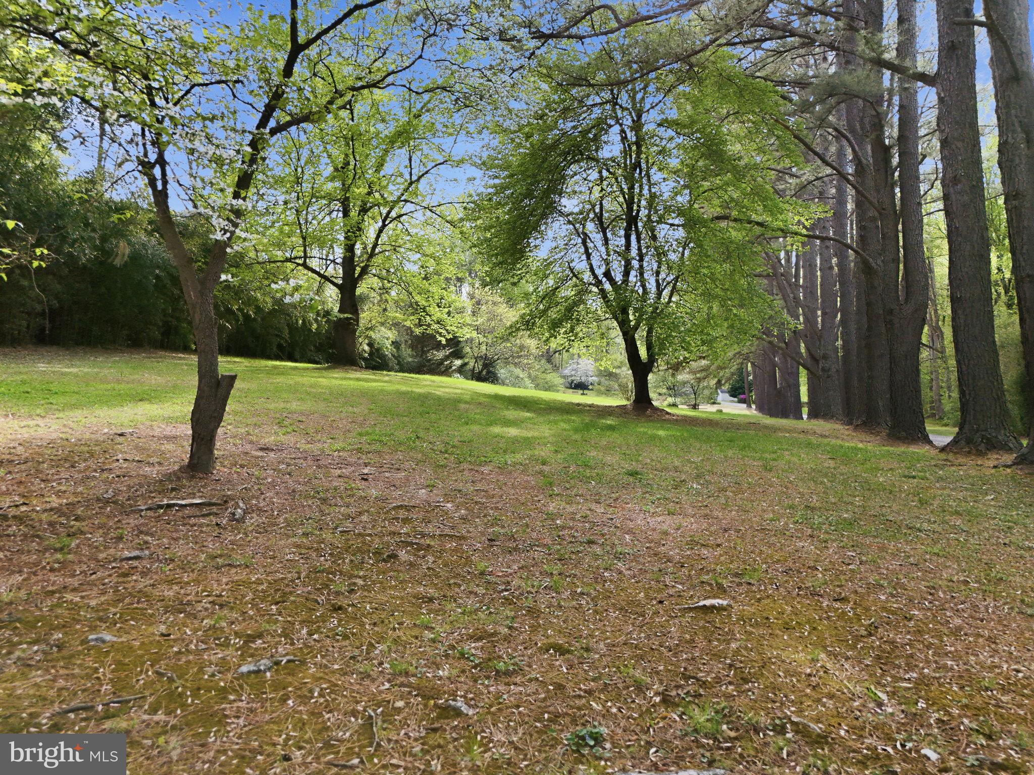 LAKE JACKSON - Residential