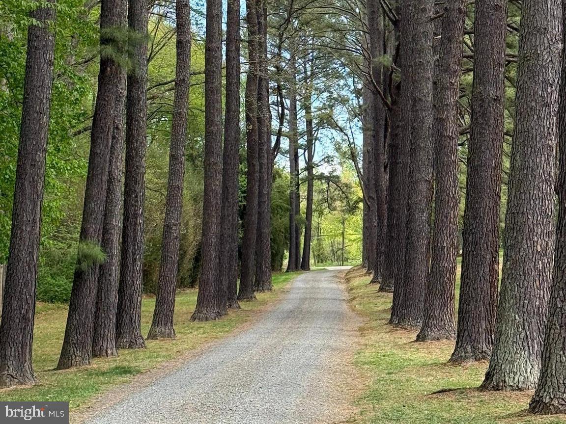 LAKE JACKSON - Residential