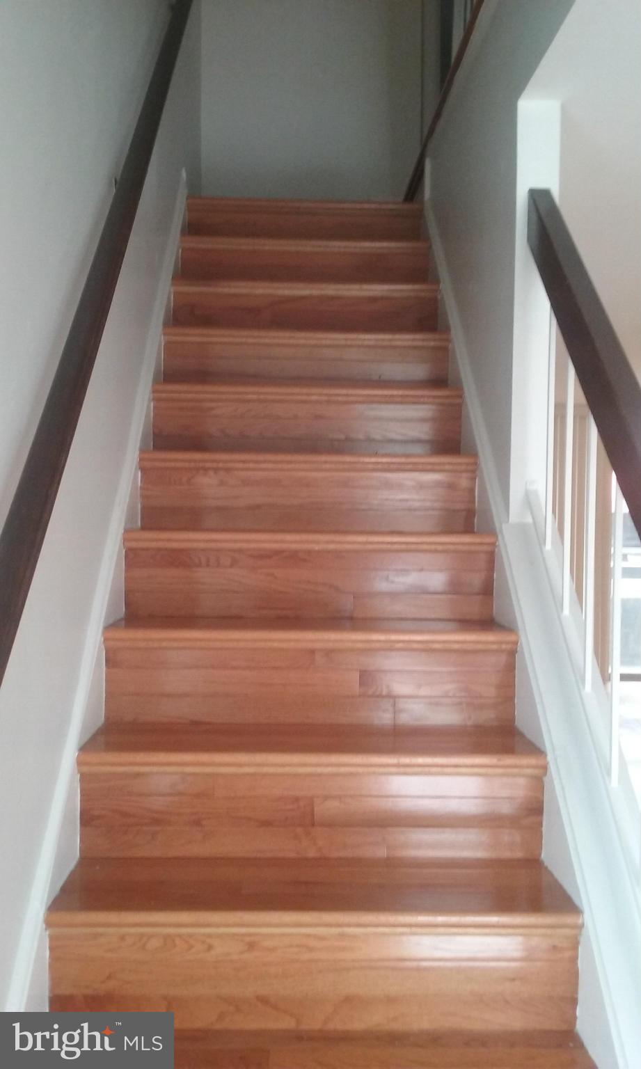 SOUTHAMPTON - Residential Lease