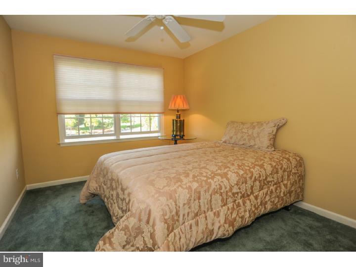 AUDUBON RIDGE - Residential