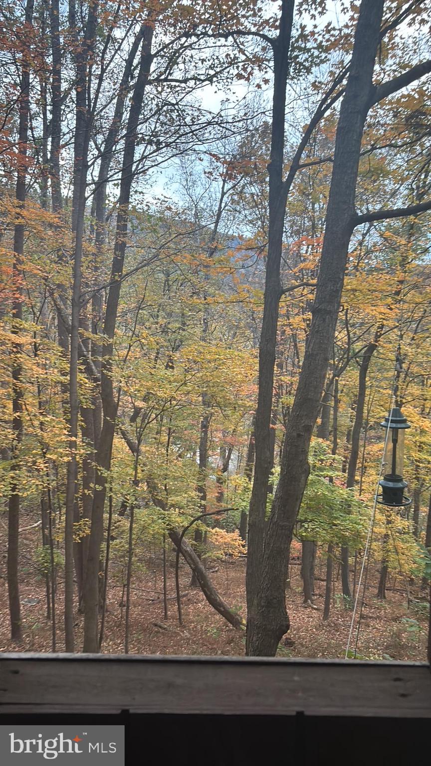 CACAPON RIVER MEADOWS - Residential