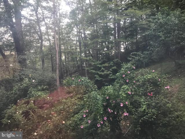 CACAPON RIVER MEADOWS - Residential