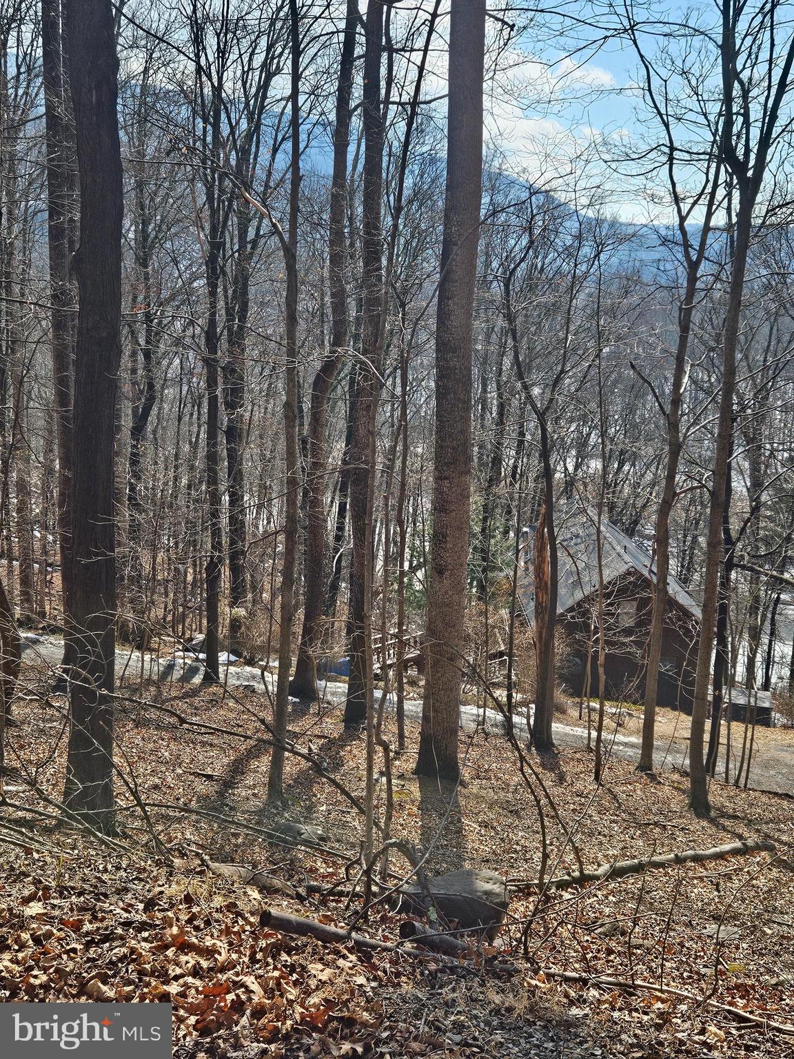 CACAPON RIVER MEADOWS - Residential