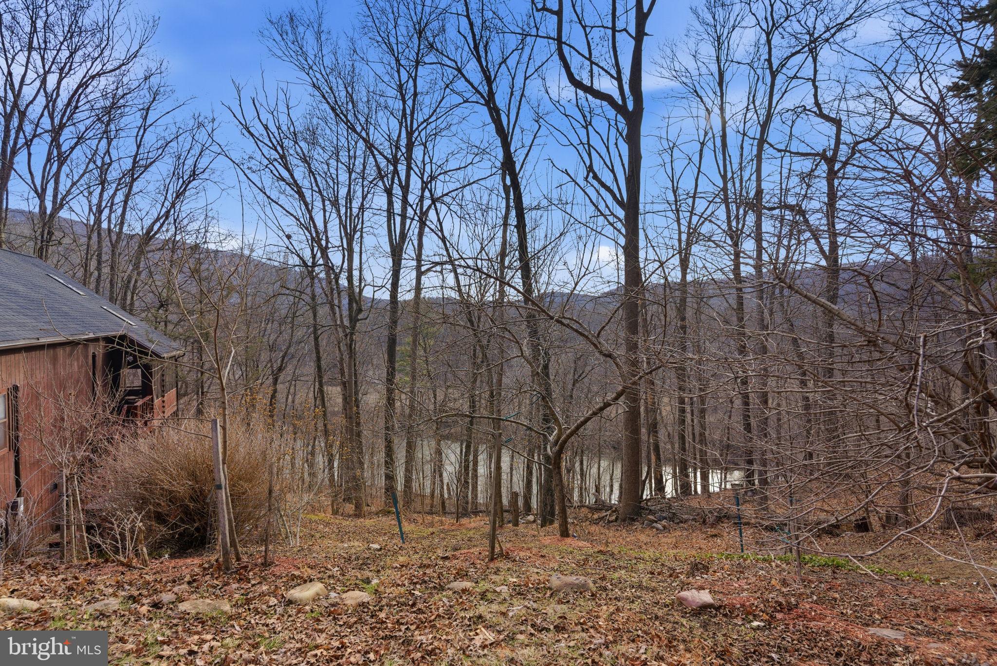 CACAPON RIVER MEADOWS - Residential