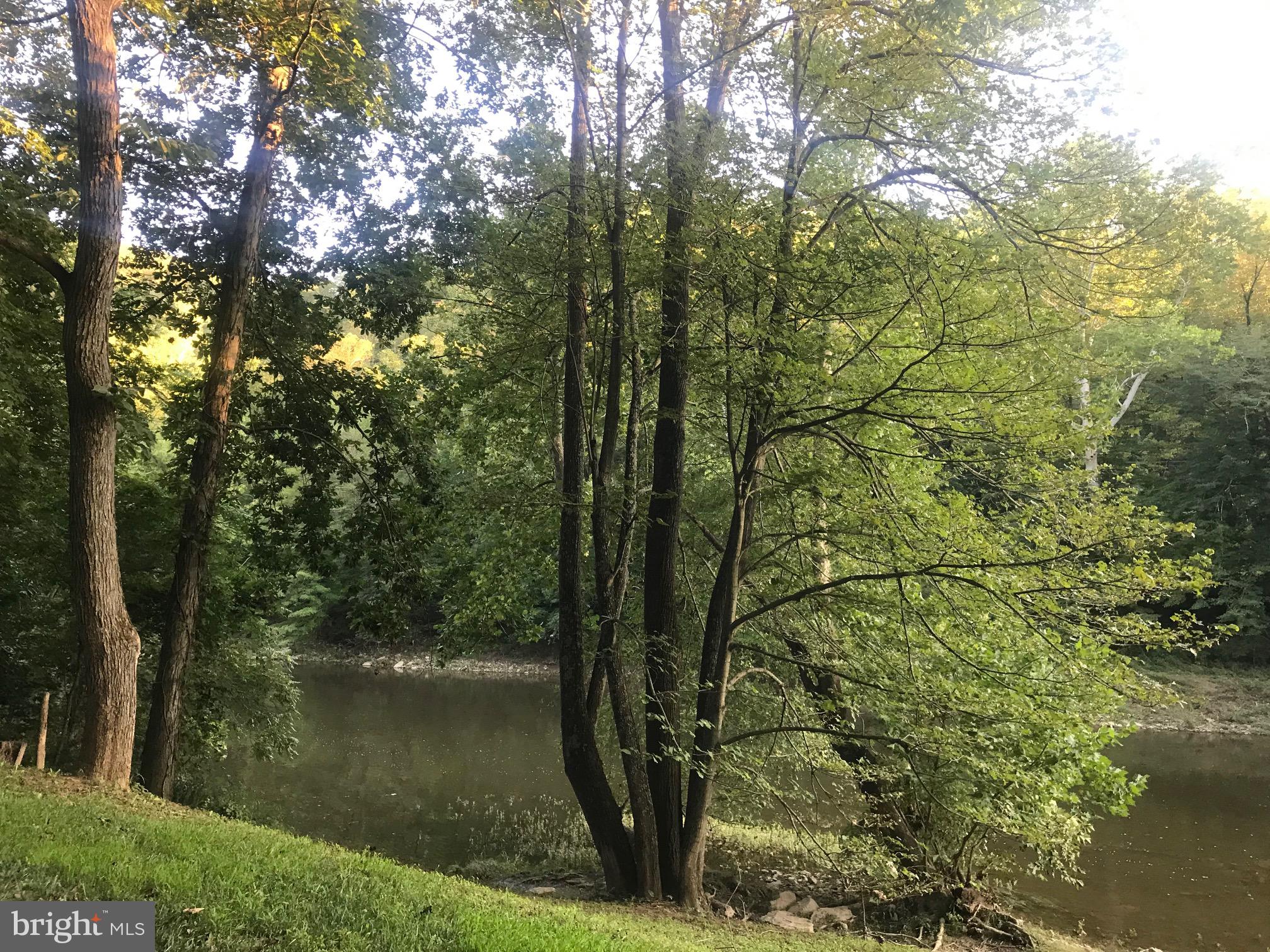 CACAPON RIVER MEADOWS - Residential