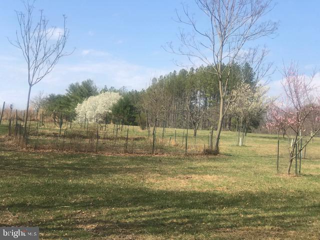 CACAPON RIVER MEADOWS - Residential