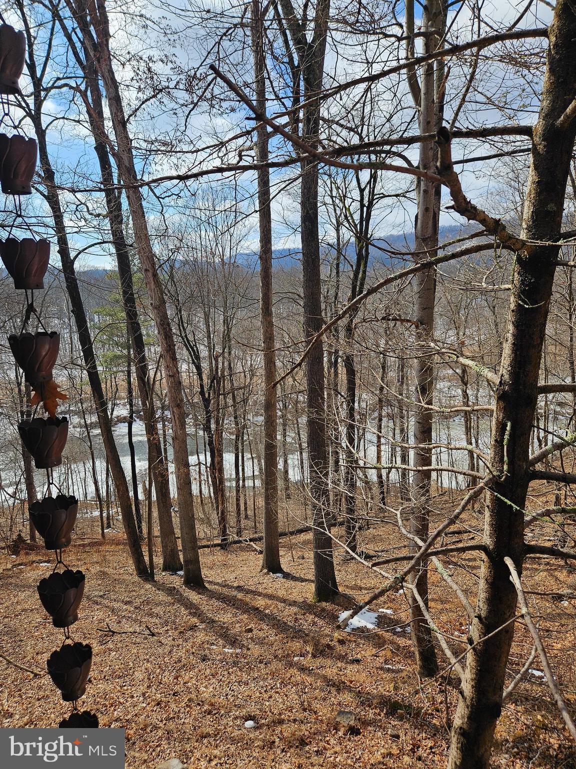 CACAPON RIVER MEADOWS - Residential