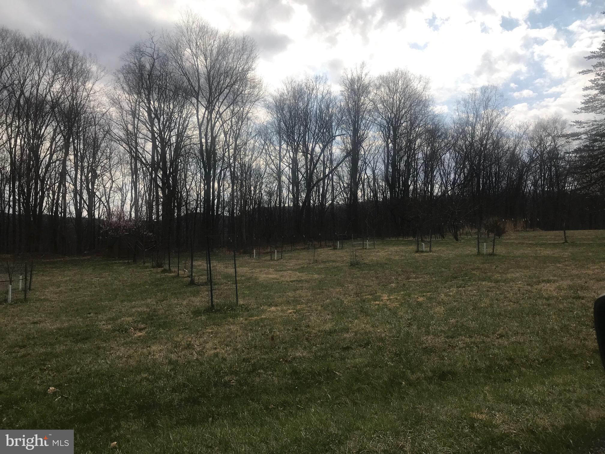 CACAPON RIVER MEADOWS - Residential