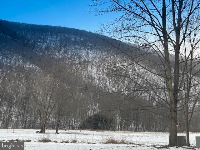 CACAPON RIVER MEADOWS - Residential