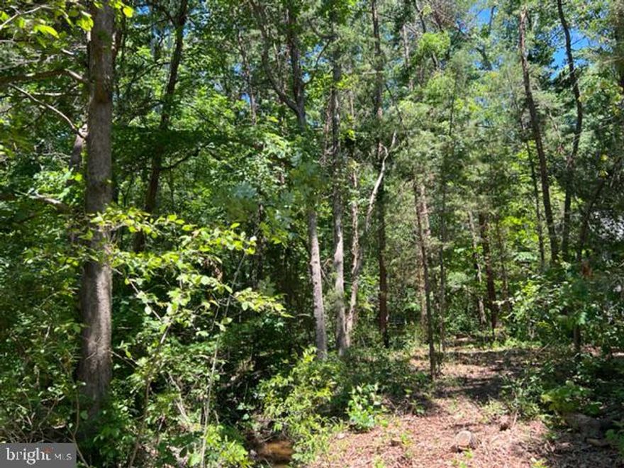 Imagine building your dream home in lovely Lake of the Woods! Close to the Main Lake, you have access to all the amenities offered! A private, gated, secured community, Lake of the Woods offers anything and everything you could possibly want. Home to two lakes (the 550 acre main lake and a 35 acre "fishing lake"), a golf course, an equestrian center, a fire and rescue department, and a church all within the gates, Lake of the Woods simply has it all. Whether your passion is boating, water skiing, kayaking, golfing, horseback riding, or simply taking in the breathtaking views from the clubhouse while enjoying a fabulous meal, from your own deck or yard, or from one of the beaches, you won't be disappointed! Perhaps you'd like a game of bridge or volunteering your time and talents...Lake of the Woods offers more than 60 clubs and/or organizations from which you may choose to become involved. Located in Orange County, we are fortunate to enjoy low real estate taxes. Coupled with home prices ranging from $200,000+ to over $2,000,000, Lake of the Woods is the perfect community for both full-time residents, as well as weekenders. But don't take my word for it, please come see for yourself! I will gladly give you a tour of Lake of the Woods by boat and by car so that you may experience what's to love in Lake of the Woods!