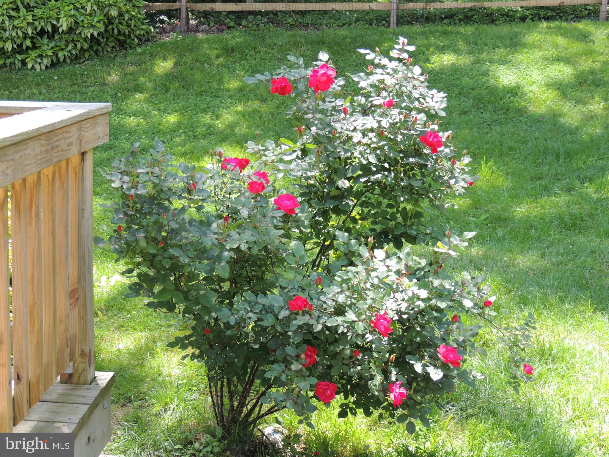 HARFORD ACRES - Residential