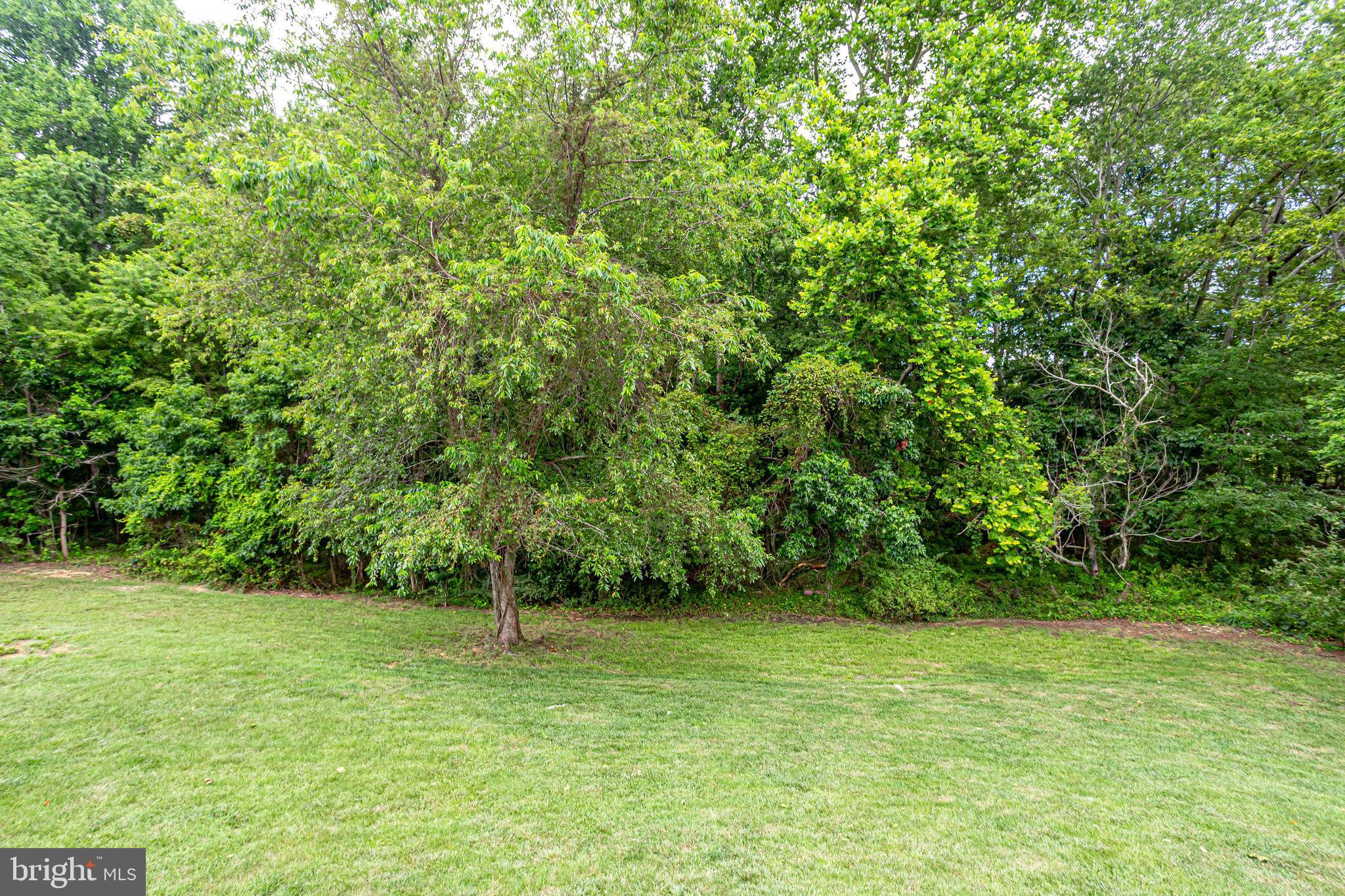 BELMONT - Residential