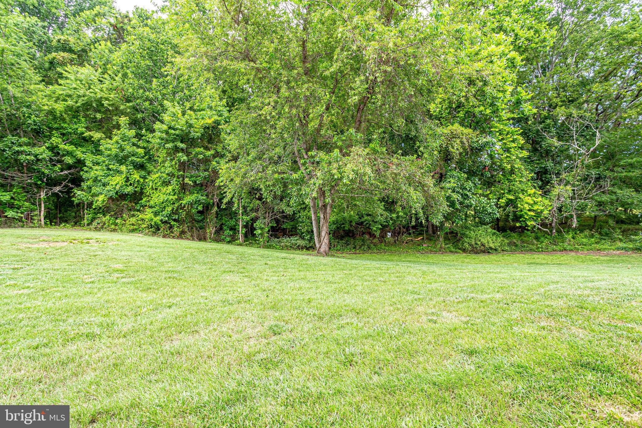 BELMONT - Residential