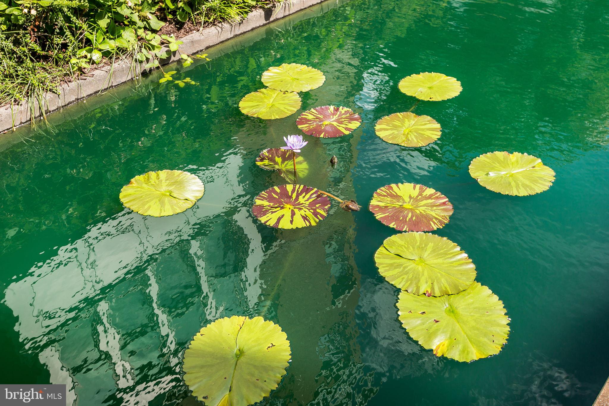 HARBORVIEW - Residential