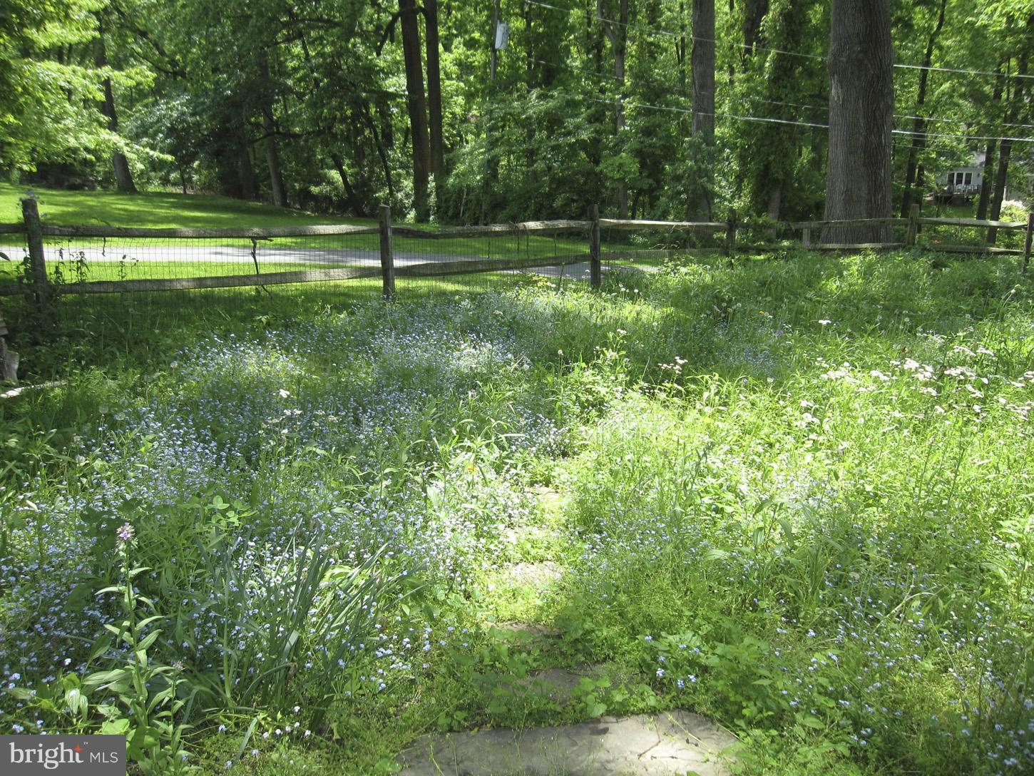 FRANKLIN FOREST - Residential