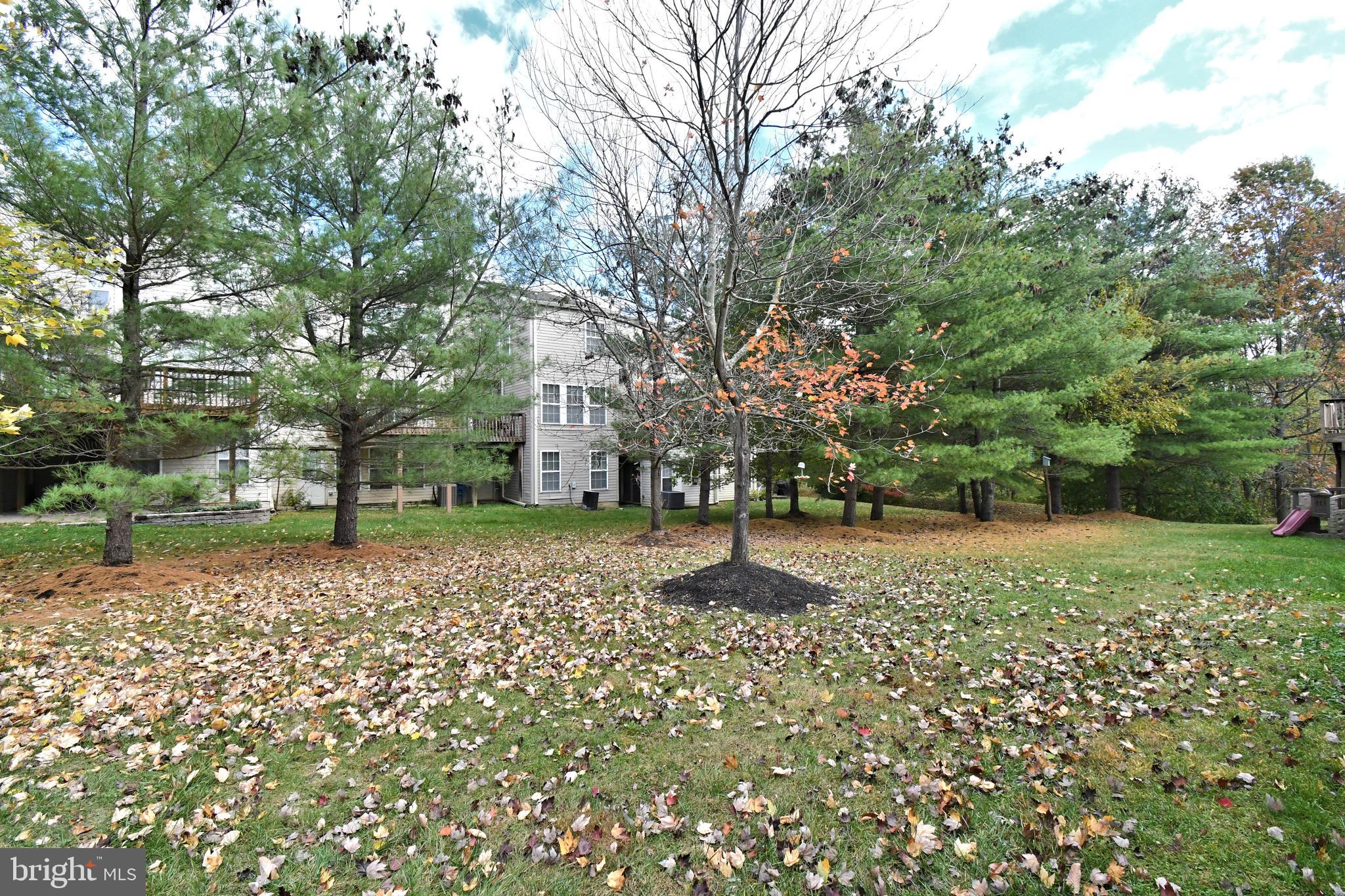 TERRACE AT MONTGOM - Residential