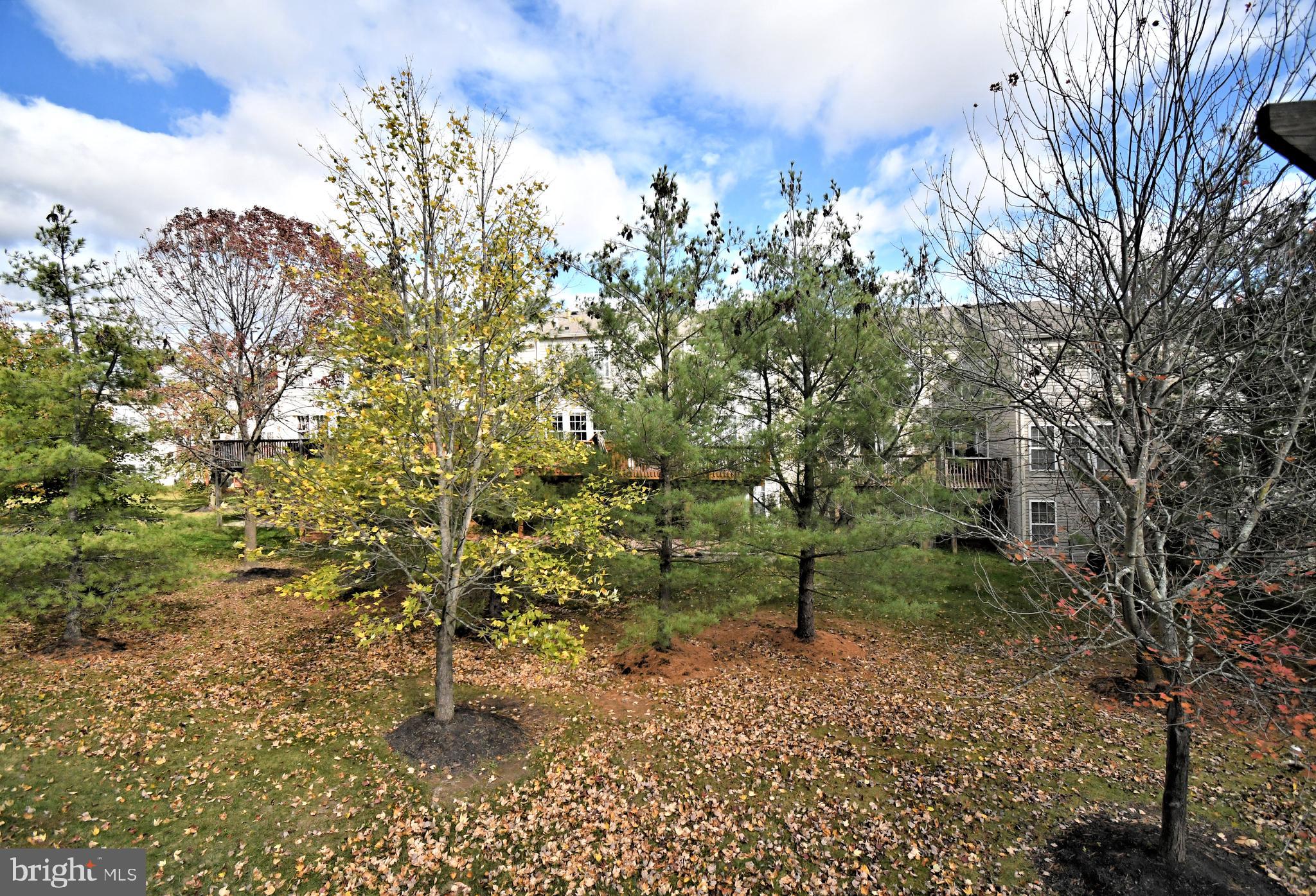 TERRACE AT MONTGOM - Residential