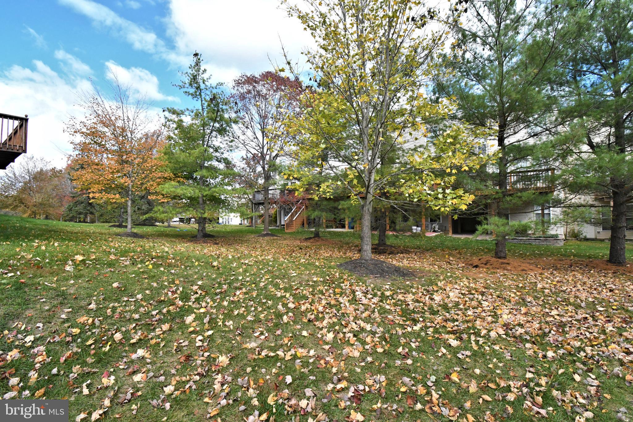 TERRACE AT MONTGOM - Residential