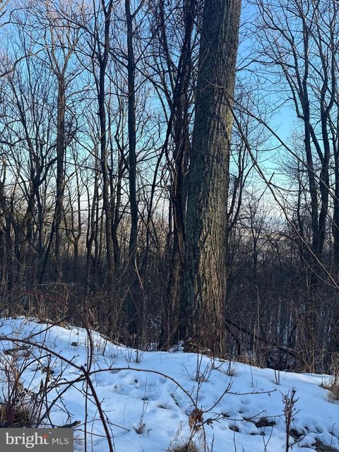 Vacant Land For Sale - 1607 Summit Drive<br/> Prince William County, HAYMARKET, VA 20169