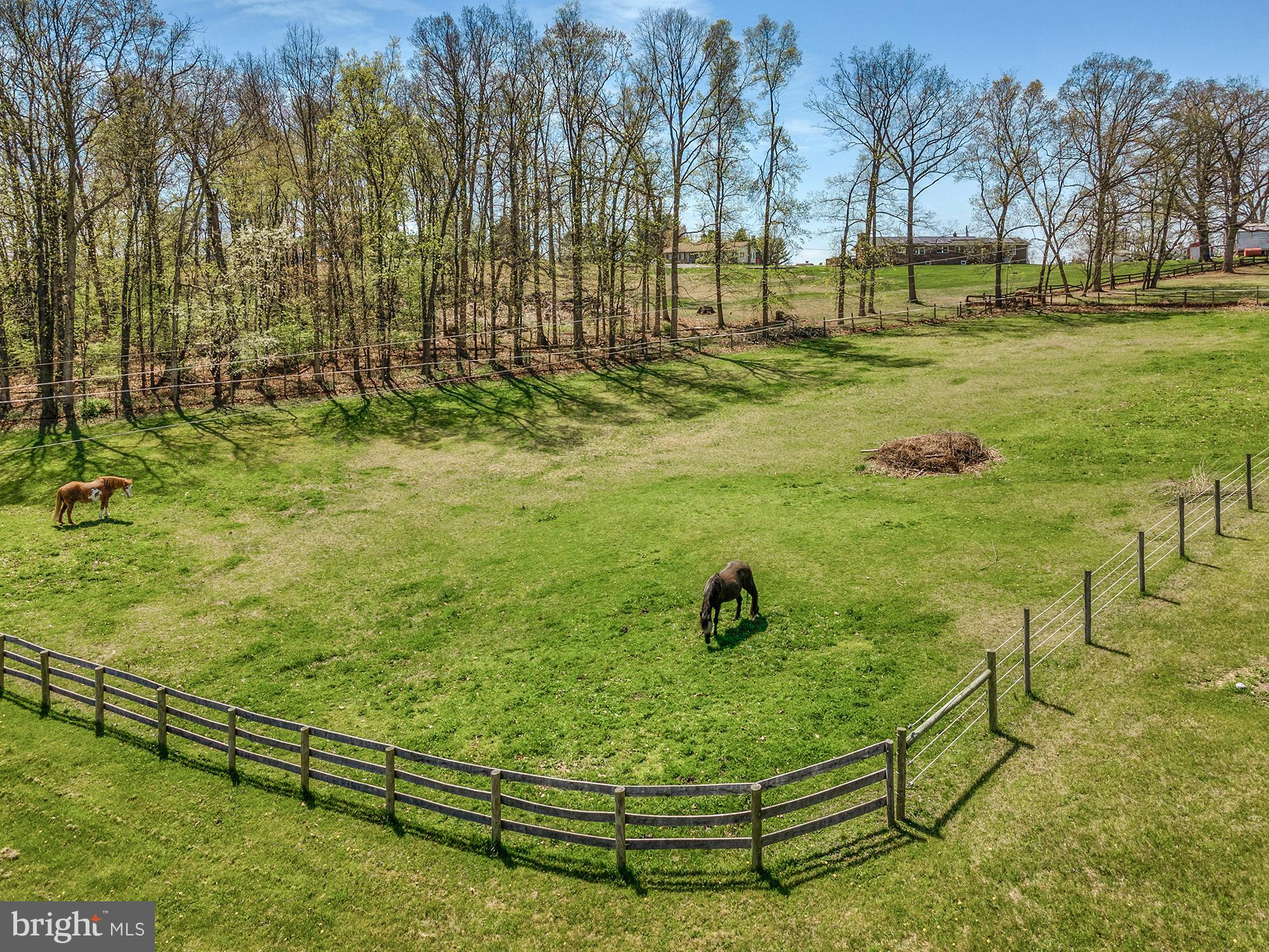 NONE AVAILABLE - Farm