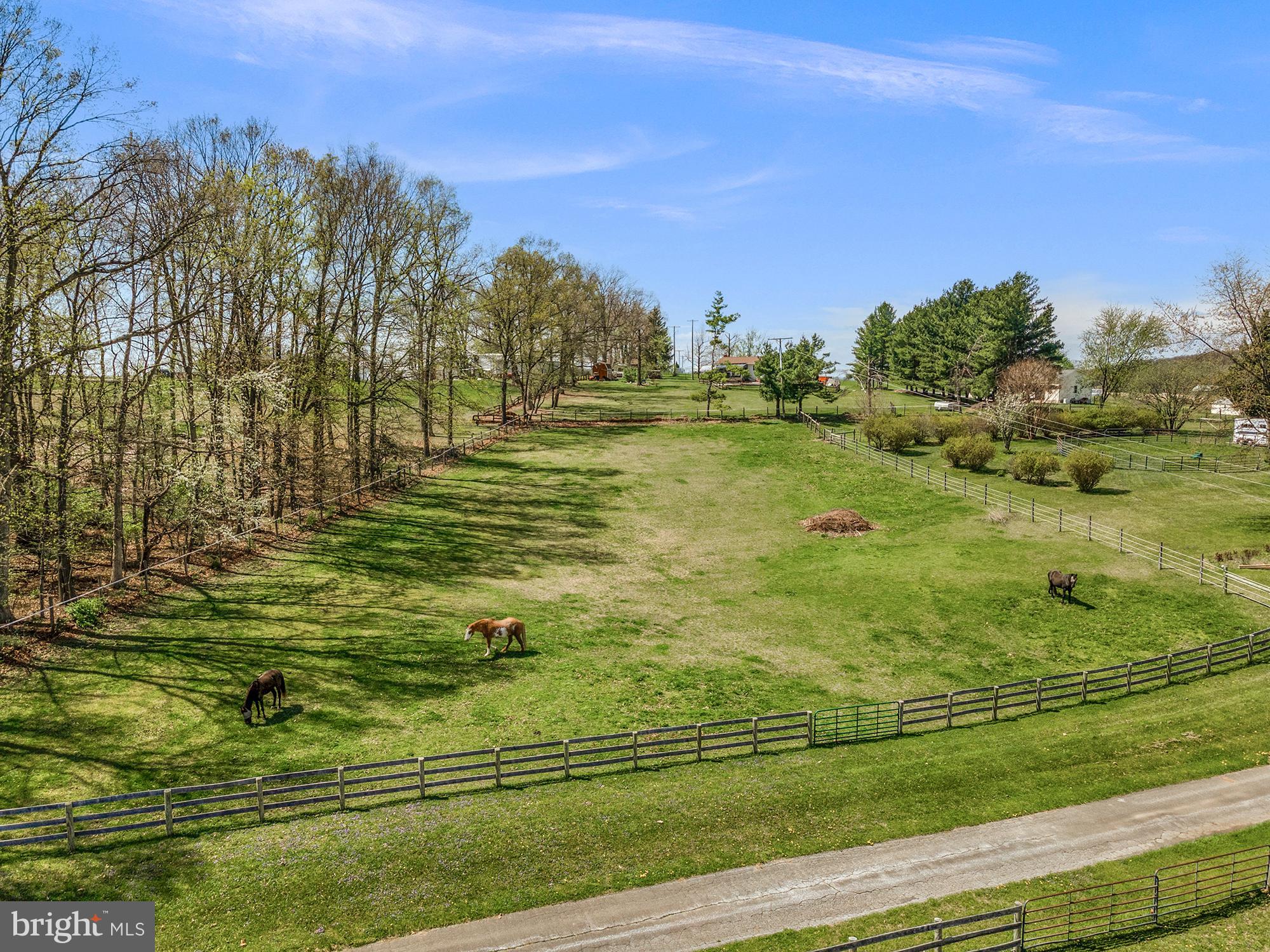 NONE AVAILABLE - Farm