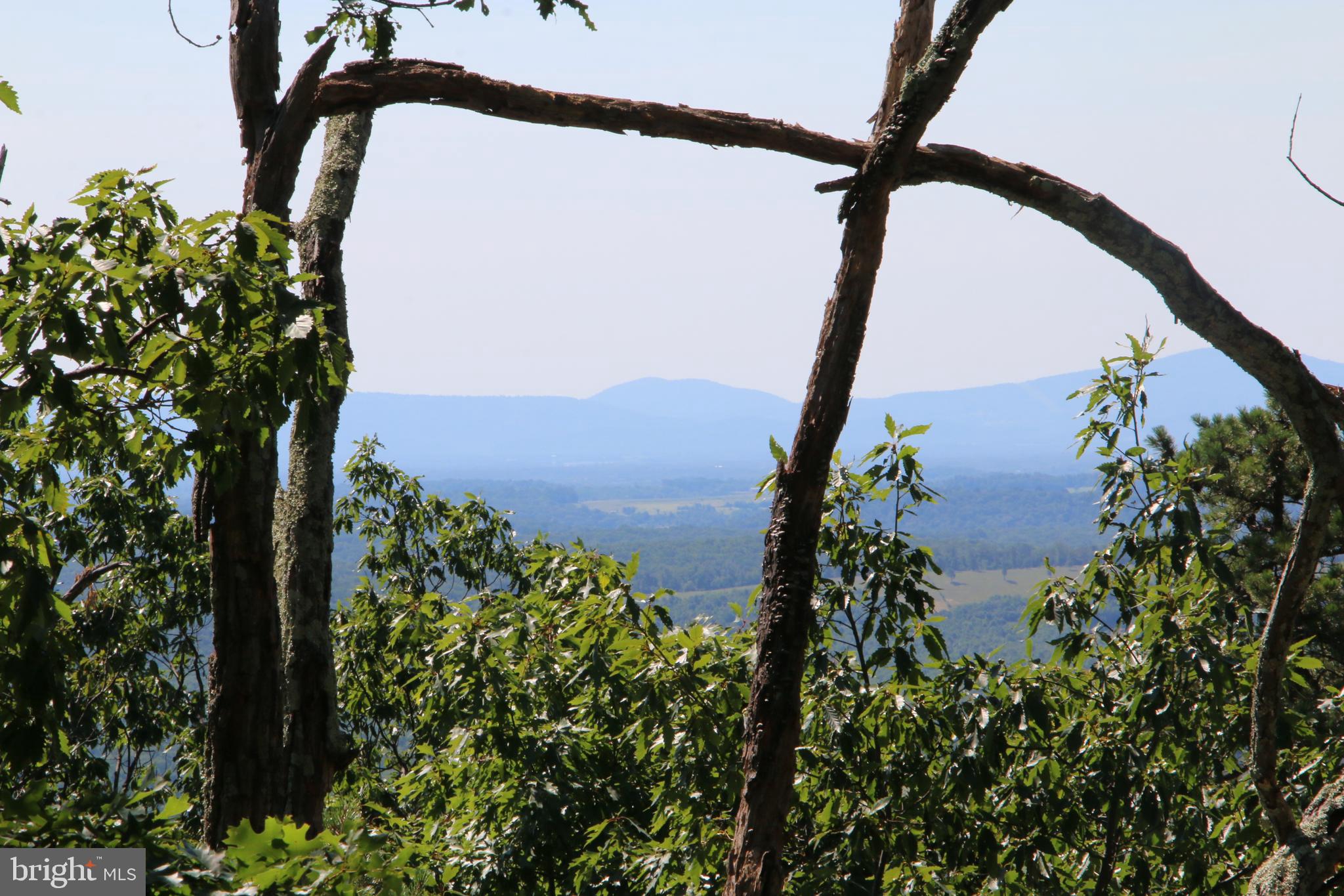 WOLF SPRING TRAIL