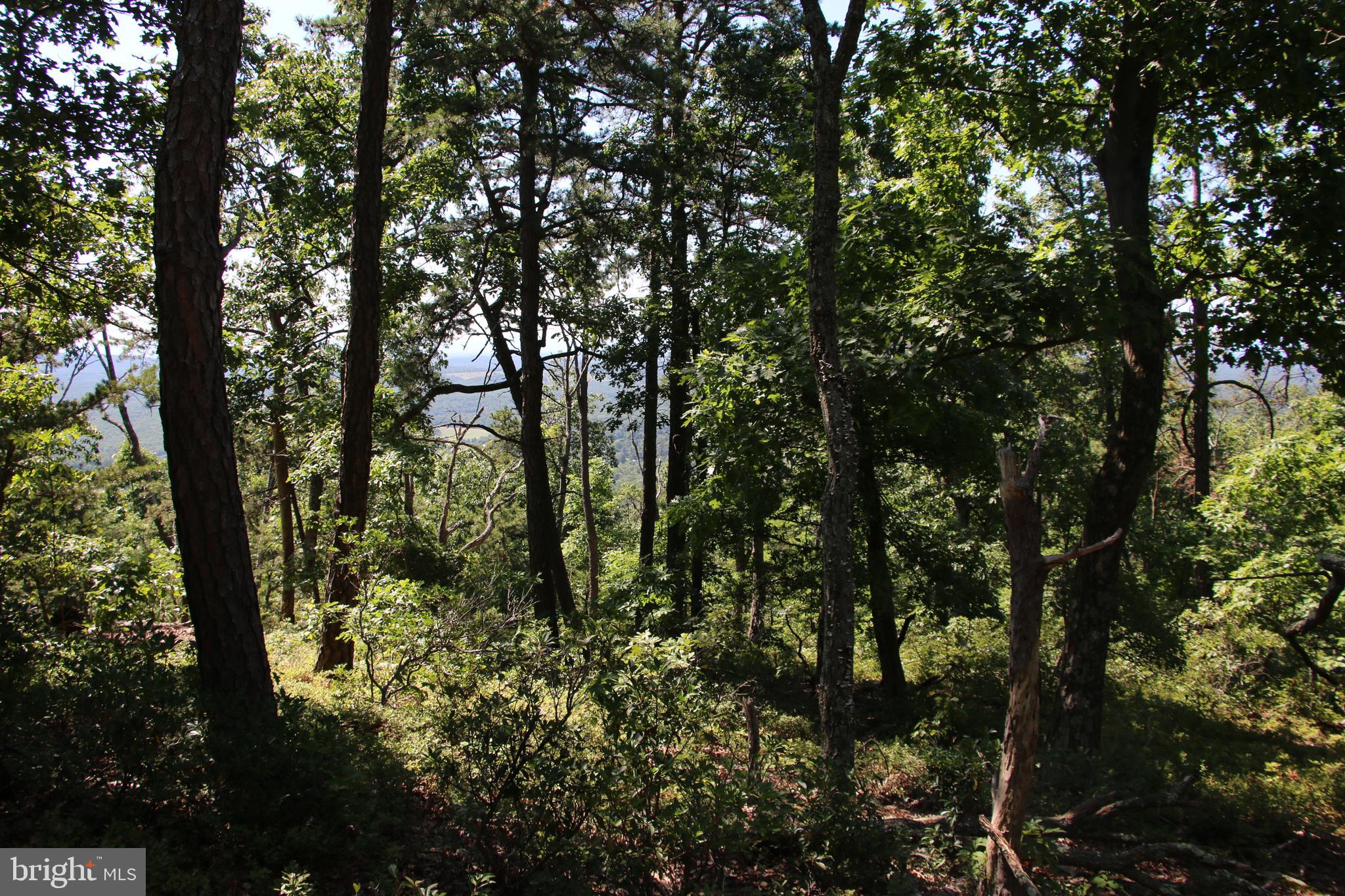 WOLF SPRING TRAIL