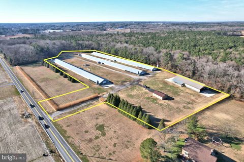 26830 N HOLLYVILLE ROAD MILLSBORO DE 19966