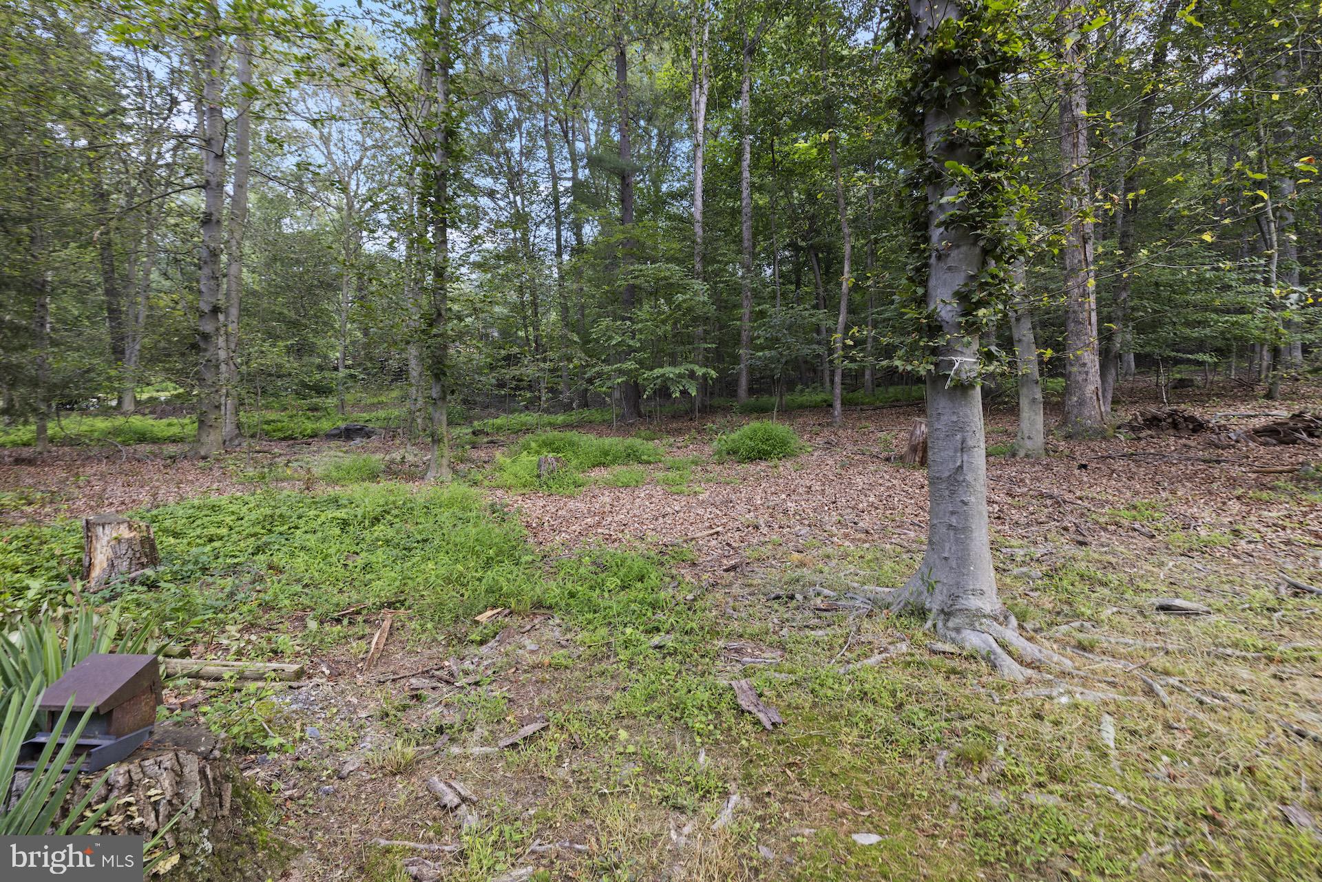 HAMILTONBAN TOUNSHIP - Residential