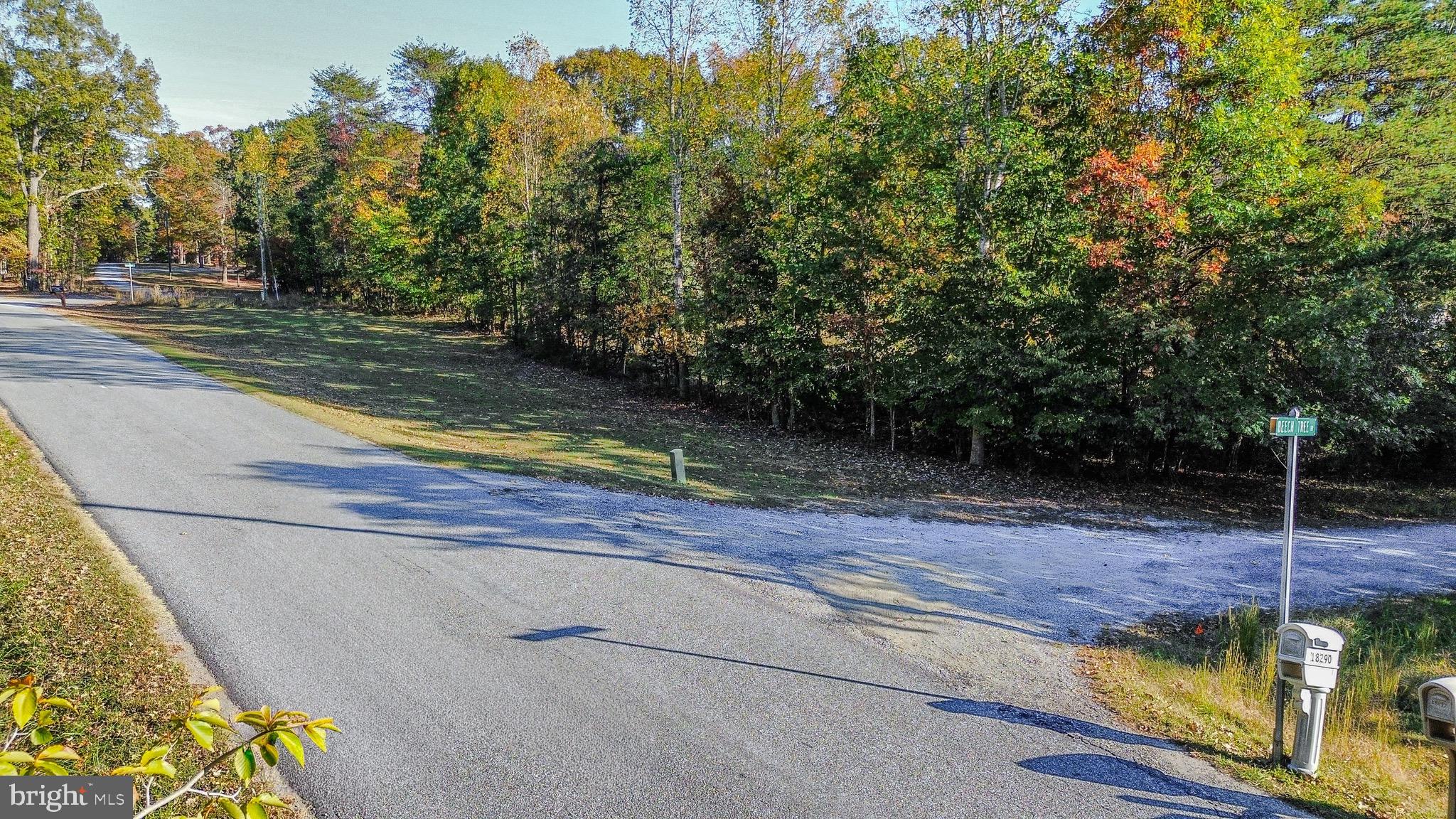 Lot 7 BEECH TREE ROAD