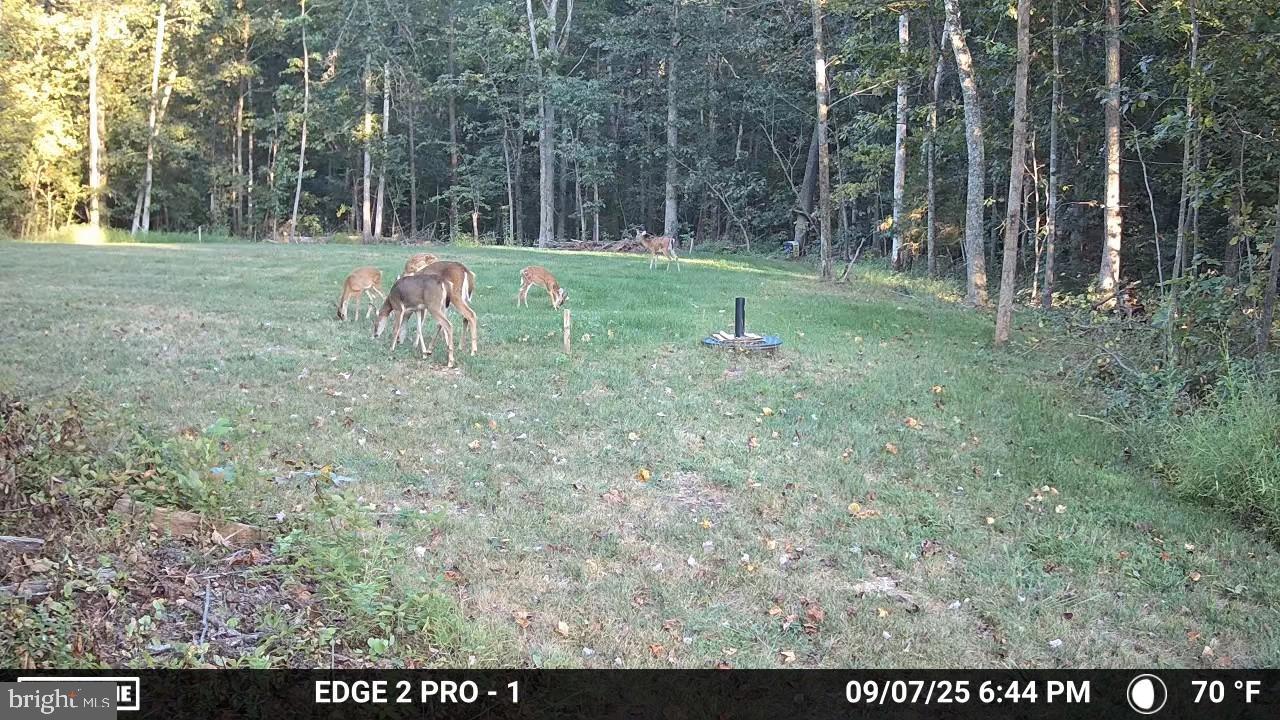 THE PINES AT KETTLE RUN - Residential