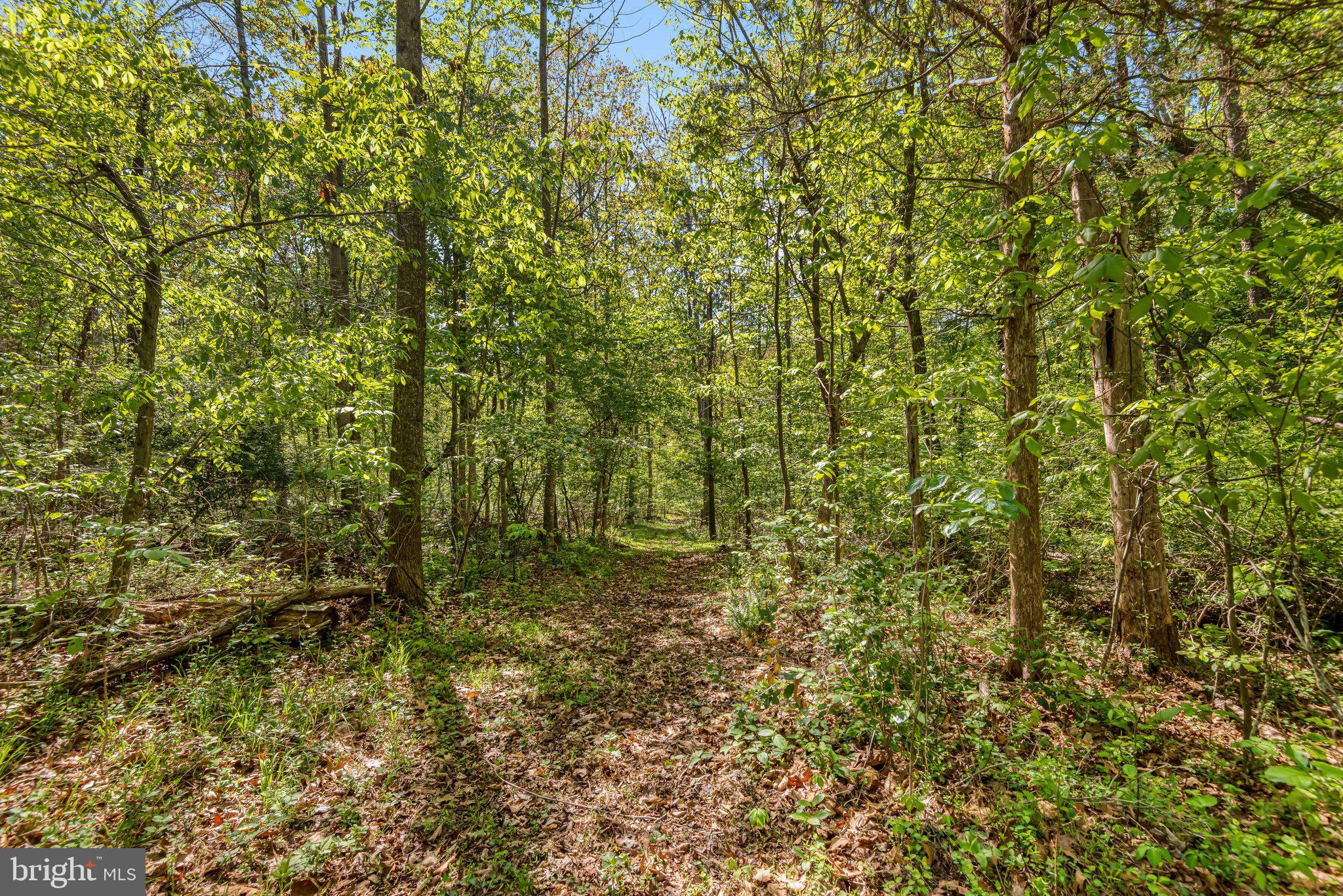 THE PINES AT KETTLE RUN - Residential