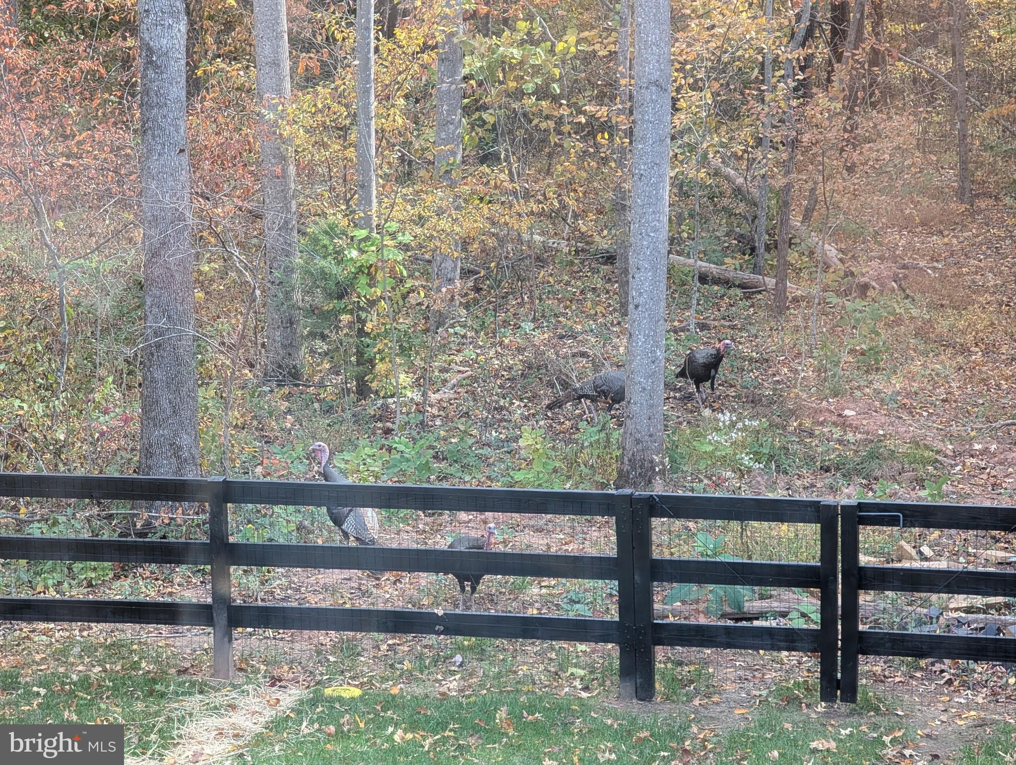 THE PINES AT KETTLE RUN - Residential